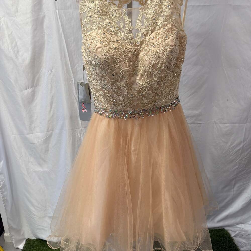 NWT A-Line Short Bateau Empire Tulle Illusion Dress With Beading And Appliques